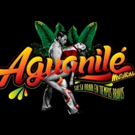 BWW Review: AGUANILE at Casa E