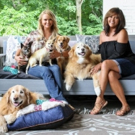 Miranda Lambert's MuttNation Celebrates 10 Years of Giving with $150,000 in Grants…