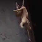 VIDEO: A Closer Look: Bence Vági on Non Solus - Broadway Theater Video