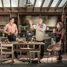 Only a Few Weeks Left to See Stockard Channing In APOLOGIA at Trafalgar Studios Photo