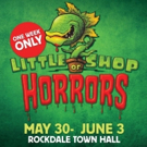 BWW REVIEW: Rockdale Musical Society's LITTLE SHOP OF HORRORS Showcases Some Great Ne Video