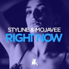 Styline & Mojavee Drop New Track RIGHT NOW on PinkStar Records Photo