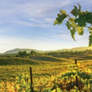 Wine Enthusiast Names Temecula Valley in the 2019 10 Best Wine Getaways List Photo