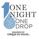Tix on Sale for 6th Annual 'One Night for One Drop' Inspired by Jewel Video
