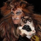Internet Meme Sensation, Grumpy Cat, Dies at Age 7 - Check Out Our Flashback Photos o Video