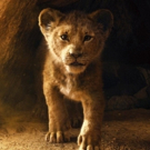 Oh We Just Can't Wait! Everything We Know About the Live-Action THE LION KING Photo