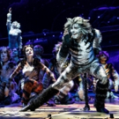 BWW Review: The CATS Phenomenon Continues at the Hollywood Pantages Photo