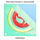 Steve Void & TELYKast Drop New Single 'Comfortable' Featuring Natalie Major Photo