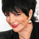 Michael Feinstein Says Liza Minnelli is 'Feeling Very Good' in New Interview