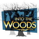 DreamWrights Holds Auditions For Teen Musical INTO THE WOODS Photo