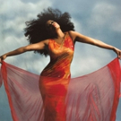 BWW Review: Diana Ross at Strathmore Video