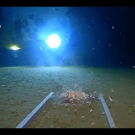 Discovery's Five Deeps Expedition Breaks Record on Dive to Bottom of Challenger Deep  Video