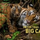 National Geographic Live: On The Trail Of Big Cats Comes to Playhouse Square