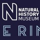 The Natural History Museum Ice Rink Returns For 2018 Photo