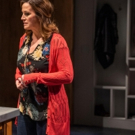 BWW Review: NEXT TO NORMAL at Writers Theatre Photo