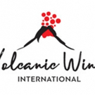 Wine Worth Its Salt? The 2019 International Volcanic Wine Conference Explores Saltine Photo