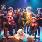 CATS Directed By Renee Chambers-Liciaga Comes to SALT Performing Arts Photo