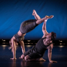 The Dance Gallery Festival Provides A Launchpad For Up And Coming Choreographers Video