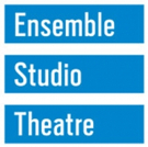 Ensemble Studio Theatre Announces Casting For World Premiere Of DIDO OF IDAHO Photo