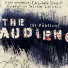 BWW Review: THE AUDIENCE (EL PUBLICO) at Austin Playhouse