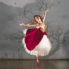 Review Roundup: RED SHOES at New York City Center Photo