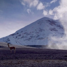 Smithsonian Channel Presents THE WILD ANDES Photo