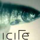 NORDICITE Comes to Théâtre Incliné This Fall