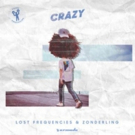 Lost Frequencies Announces Inaugural Label with Release of 'Crazy' Photo