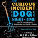 Some Theatre Company Brings THE CURIOUS INCIDENT OF THE DOG IN THE NIGHT-TIME to Maine 2/21 - 2/24