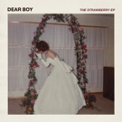 Dear Boy Share Offical Video For SEMESTER With Flaunt, The Strawberry EP On 3/1 Photo
