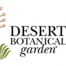 Desert Botanical Garden and Ballet Arizona Present MOMIX's OPUS CACTUS Video