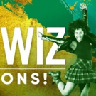 Theatre Under The Stars Releases Hilarious Casting Breakdowns for THE WIZ! Photo