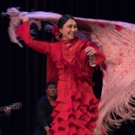 Teatro Paraguas Presents Holiday Dream Flamenco Photo