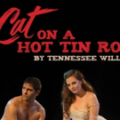 VIDEO: Watch an All New Promo Video For CAT ON A HOT TIN ROOF at Music Theater of Con Video