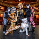 West Bromwich Operatic Society Present CATS At Wolverhampton Grand Theatre Video