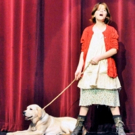 BWW Review: ANNIE at CANTON VILLAGE THEATRE Thrills Patrons Video