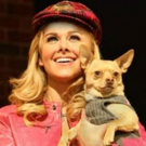Chico, Canine Co-Star of LEGALLY BLONDE, Passes Away Photo