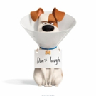 VIDEO: Watch the Trailer for THE SECRET LIFE OF PETS 2 Video