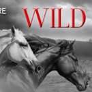 New Jersey Rep Presents WILD HORSES Video