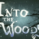 INTO THE WOODS Will Premiere in Oslo June 2018