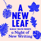 Blueleaf Theatre Announce New Writing Event At Old Red Lion Theatre Photo