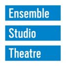 Ensemble Studio Theatre & The Alfred P. Sloan Foundation Announce 20th Anniversary Ar Photo