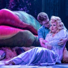 BWW Review: LITTLE SHOP OF HORRORS at Drury Lane Theatre Photo