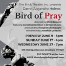 Brick Theater Inc. Presents BIRD OF PRAY Photo