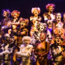 Limited Seats Available for CATS at Walton Arts Center Video