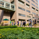 Director of Performing Arts at LIU Brooklyn Elin Eggertsdottir Talks New BFA Program Interview