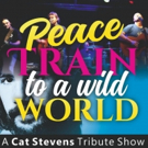 PEACE TRAIN TO A WILD WORLD Comes to The Drama Factory Photo