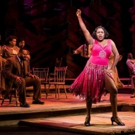 BWW Interview: Carla R. Stewart Steps Into Shug Avery's Shoes In THE COLOR PURPLE