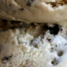 Humphry Slocombe Creates Cirque Du Soleil-inspired Ice Cream Flavor