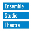 Ensemble Studio Theatre Announces 2018-19 EST/Youngblood New Members